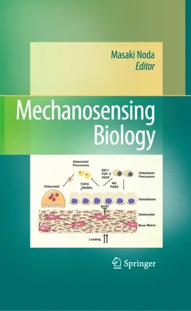 Masaki Noda - Mechanosensing Biology, E-bok. Tillgänglighet: Lägg i varukorg