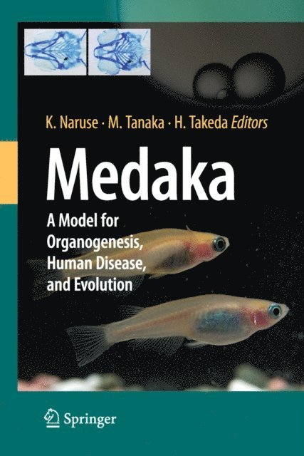 Hiroyuki Takeda, Minoru Tanaka, Kiyoshi Naruse - Medaka, E-bok