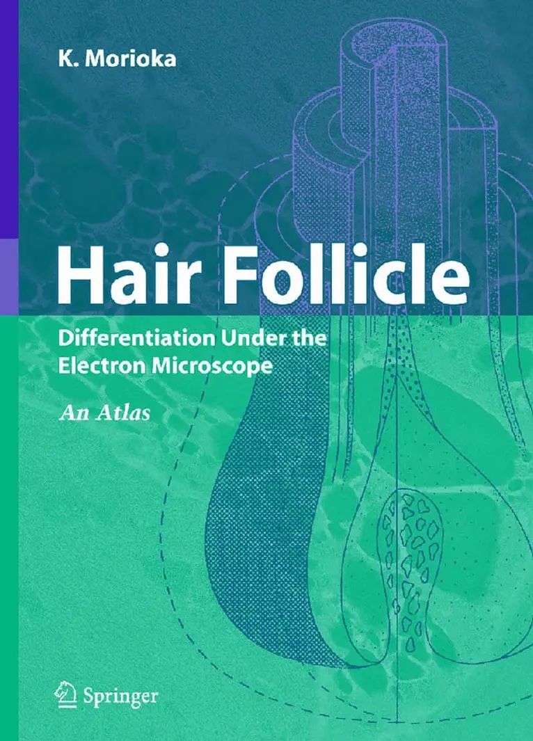 K. Morioka - Hair Follicle, Häftad. Tillgänglighet: Lägg i varukorg