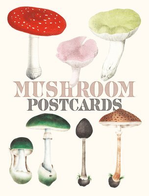 Pie International - Mushroom Postcards, Inbunden