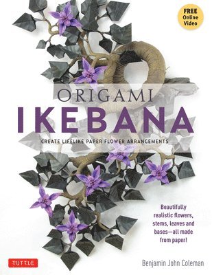 Benjamin John Coleman - Origami Ikebana, Häftad
