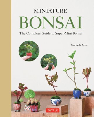 Miniature Bonsai av Terutoshi Iwai