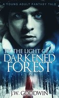 By The Light of a Darkened Forest