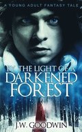By The Light of a Darkened Forest