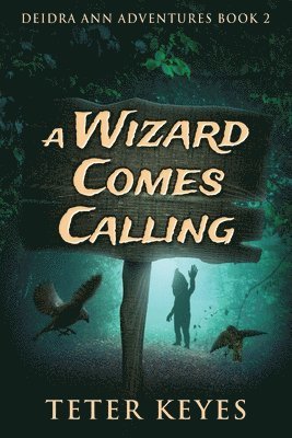 Teter Keyes - Wizard Comes Calling, Häftad