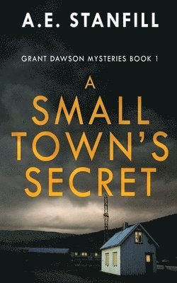 A E Stanfill - Small Town's Secret, Häftad