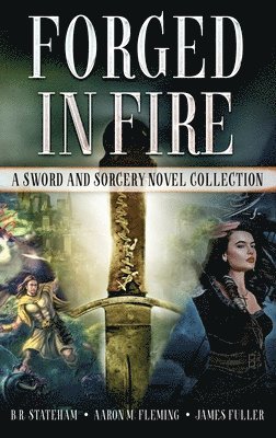 Aaron M Fleming, B R Stateham, James Fuller - Forged in Fire, Inbunden