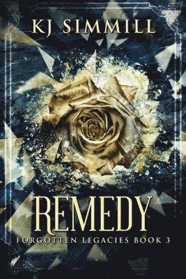 K J Simmill - Remedy, Häftad