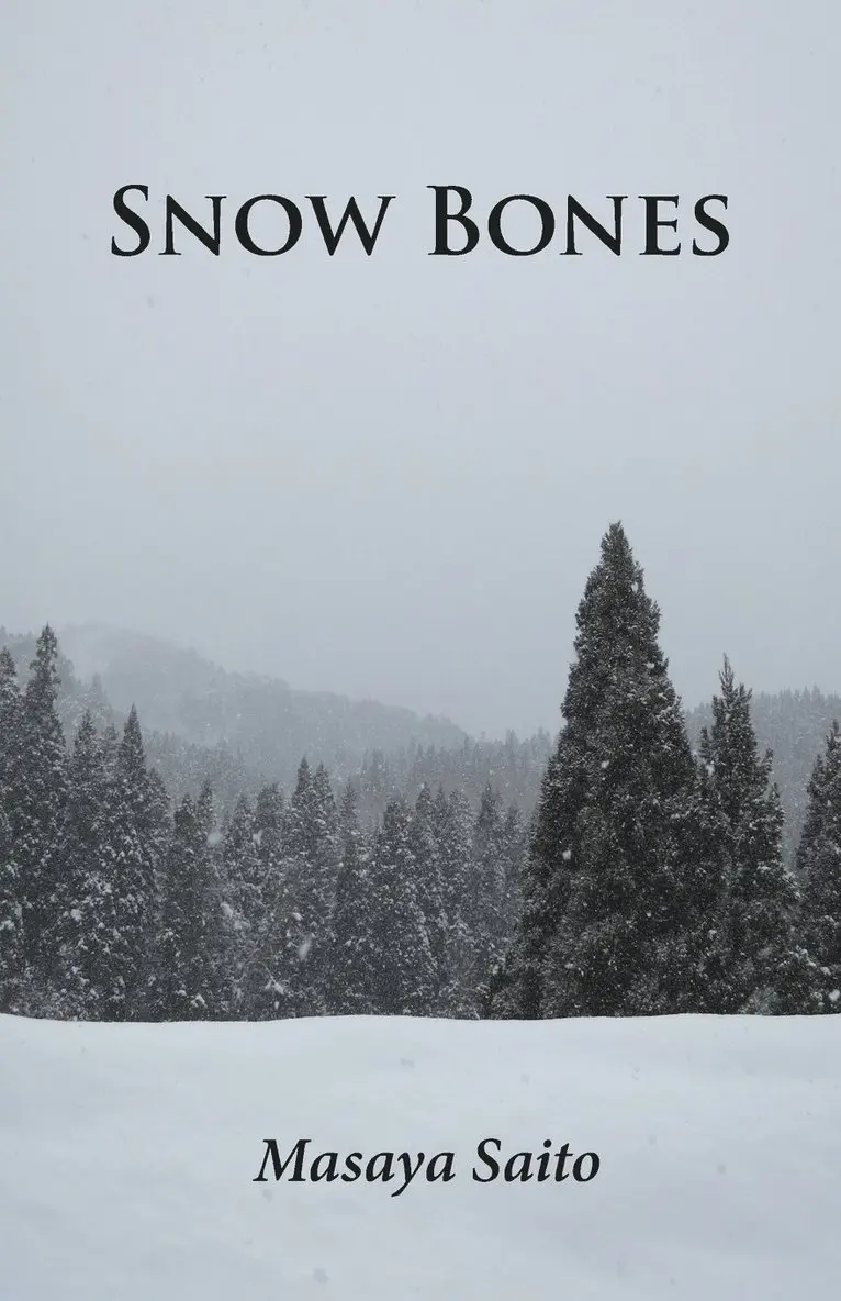 Masaya Saito - Snow Bones, Häftad. Tillgänglighet: Lägg i varukorg