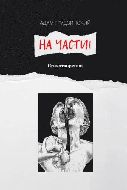 Adam Grudzinsky - Into pieces!, E-bok. Tillgänglighet: Lägg i varukorg