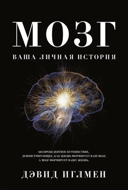 David Eagleman - THE BRAIN The Story of You, E-bok
