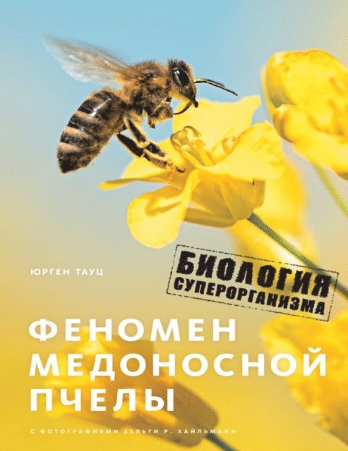 Jurgen Tautz - The Buzz about Bees: Biology of a Superorganism, E-bok