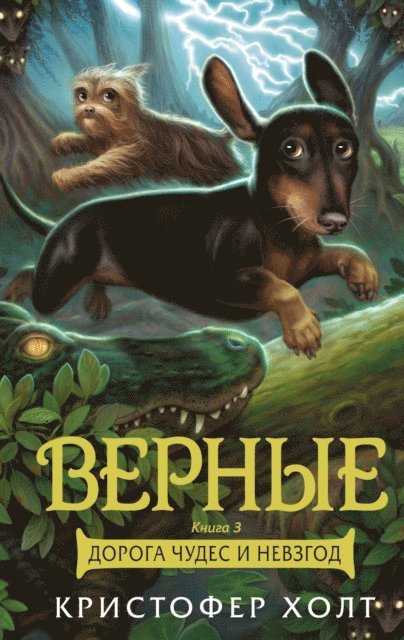 Christopher Holt - The Last Dogs. Book 3. Long Road, E-bok