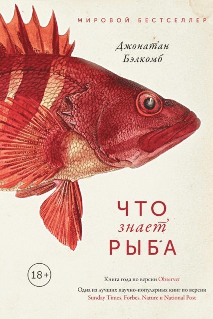 Jonathan Balcombe - WHAT A FISH KNOWS The Inner Lives of Our Underwater Cousins, E-bok