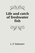 Life and catch of freshwater fish