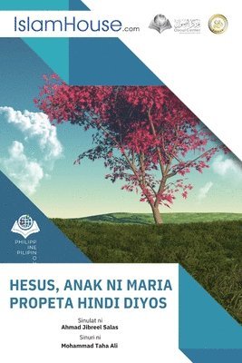 Ahmad Jebreel Salas - HESUS ANAK NI MARIA PROPETA HINDI DIYOS - Jesus (son of Mary) is a prophet, not God, Häftad