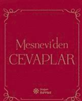 Kolektif - Mesneviden Cevaplar, Häftad