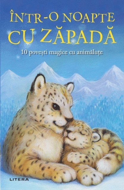 Litera Media Group - Intr-o noapte cu zapada, E-bok