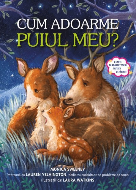 Monica Sweeney - Cum Adoarme Puiul Meu?, E-bok