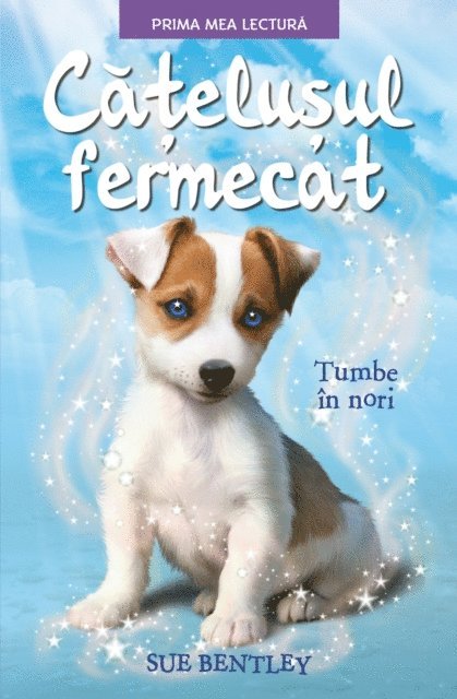 Sue Bentley - Cățelușul Fermecat, E-bok
