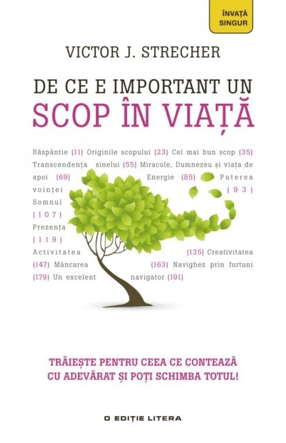 Victor J. Strecher - De Ce E Important Un Scop în viață, E-bok