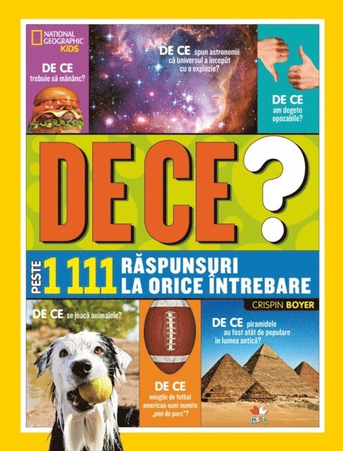 Crispin Boyer - DE CE? Peste 1111 răspunsuri la orice întrebare, E-bok