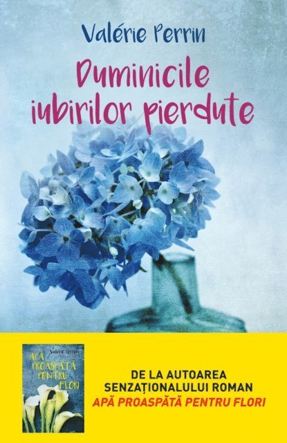 Valerie Perrin - Duminicile iubirilor pierdute, E-bok