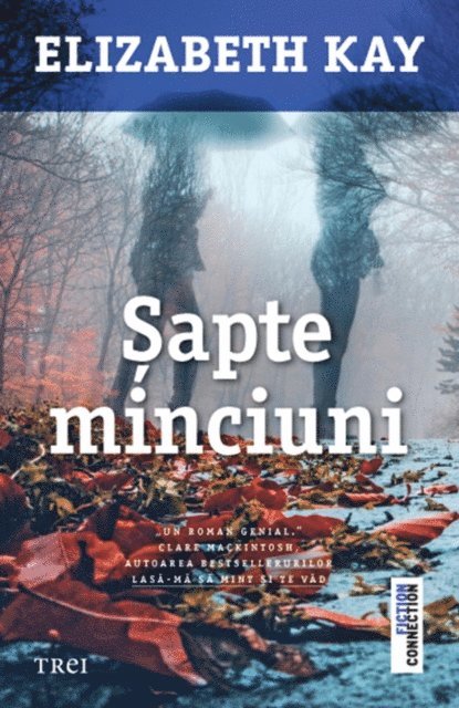 Elizabeth Kay - Sapte minciuni, E-bok