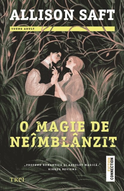 Allison Saft - O magie de neîmblânzit, E-bok