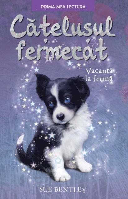 Sue Bentley - Catelusul Fermecat, E-bok