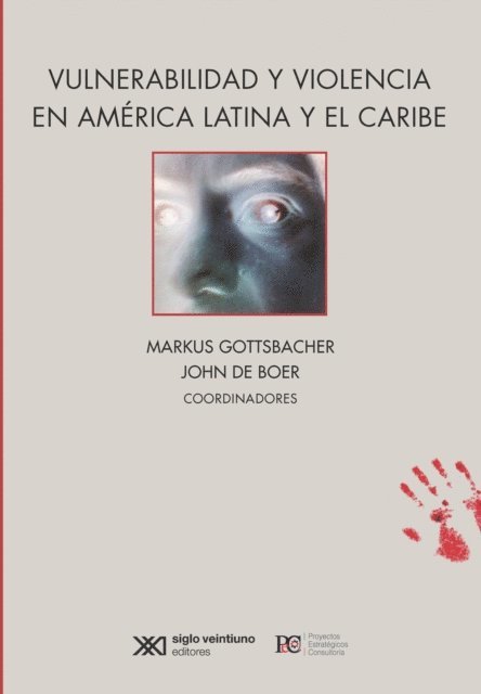 John de Boer, Markus Gottsbacher - Vulnerabilidad y violencia en América Latina y el Caribe, E-bok