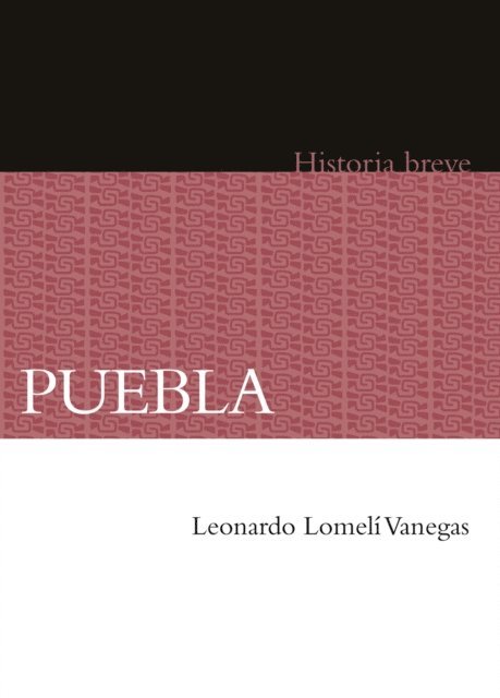 Yovana Celaya Nandez, Alicia Hernandez Chavez, Leonardo Lomeli Vanegas - Puebla, E-bok
