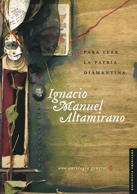 Edith Negrin, Ignacio Manuel Altamirano - Para leer la patria diamantina, E-bok