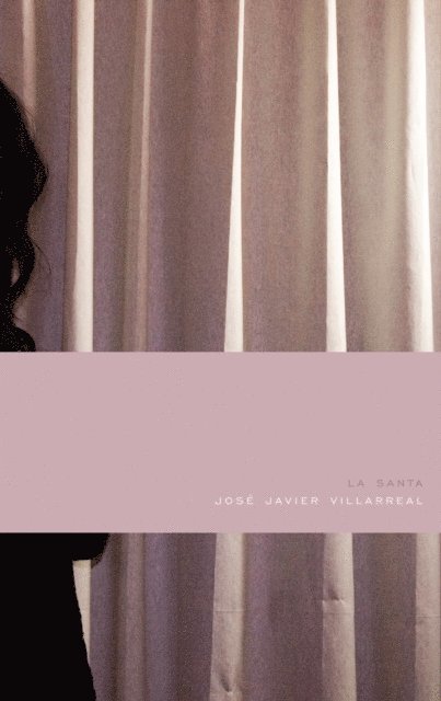 Jose Javier Villarreal - La santa, E-bok