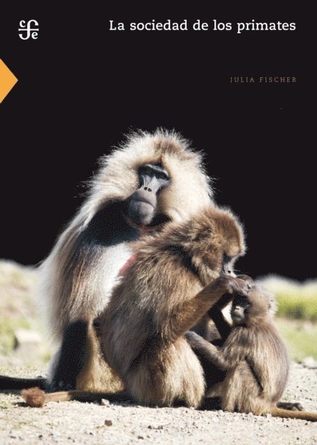 Julia Fischer - La sociedad de los primates, E-bok