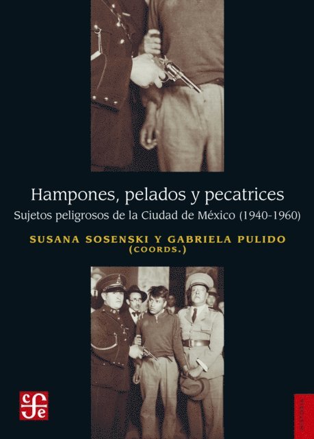 Gabriela Pulido Llano, Susana Sosenski - Hampones, pelados y pecatrices, E-bok