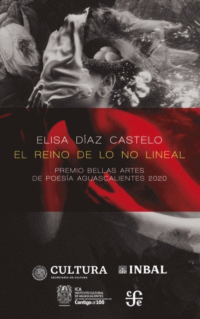 Elisa Diaz Castelo - El reino de lo no lineal, E-bok