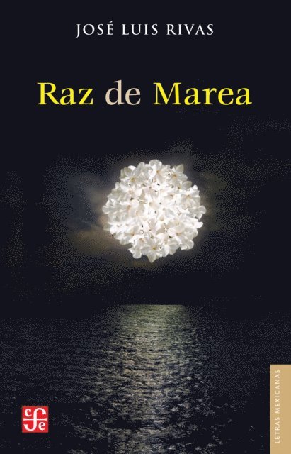 Jose Luis Rivas - Raz de marea, E-bok