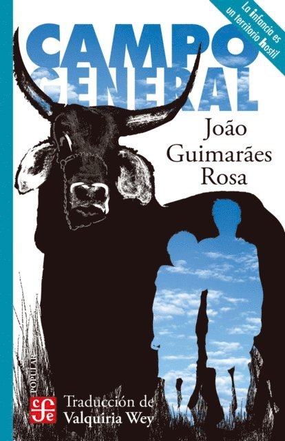 Joao Guimaraes Rosa - Campo General, E-bok