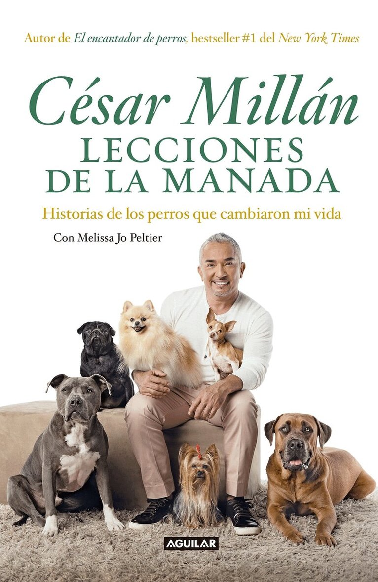 Cesar Millan - Lecciones de la manada / Cesar Millan's Lessons From the Pack, Häftad