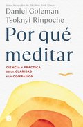Por Qu Meditar / Why We Meditate