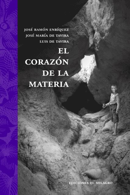 Luis de Tavira, Jose Maria de Tavira, Jose Ramon Enriquez - El corazón de la materia, E-bok