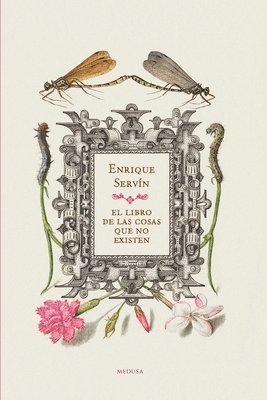 Enrique Servín - libro de las cosas que no existen, Häftad