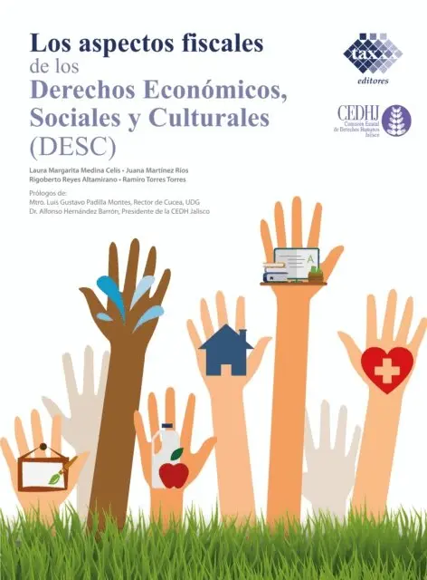 Ramiro Torres Torres, Juana Martinez Rios, Laura Margarita Medina Celis, Rigoberto Reyes Altamirano - Los Aspectos fiscales de los derechos económicos, sociales y culturales (DESC) 2020, E-bok. Tillgänglighet: Lägg i varukorg