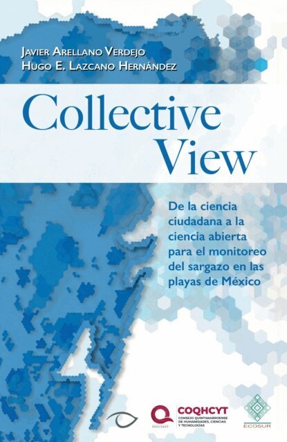 Hugo E. Lazcano Hernandez, Javier Arellano Verdejo - Collective View, E-bok