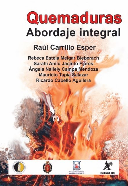 Ricardo Cabello Aguilera, Mauricio Tapia Salazar, Angela Nallely Campa Mendoza, Sarahi Anilu Jacinto Flores, Rebeca Estela Melgar Bieberach, Raul Carrillo Esper - Quemaduras. Abordaje integral, E-bok