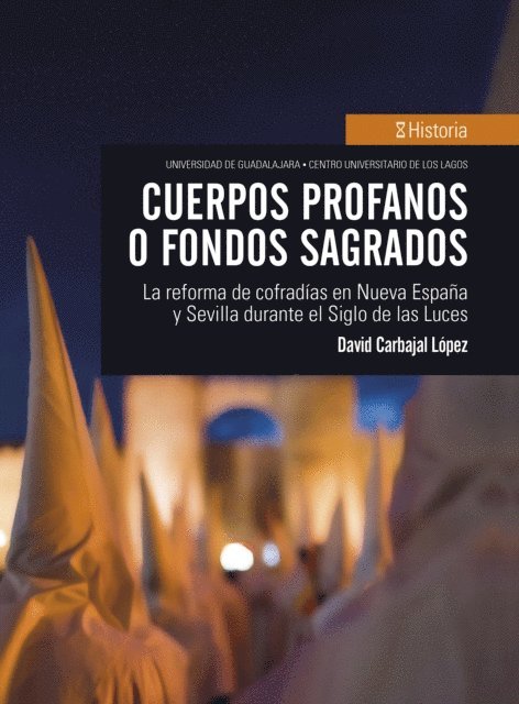 David Carbajal Lopez - Cuerpos profanos o fondos sagrados, E-bok