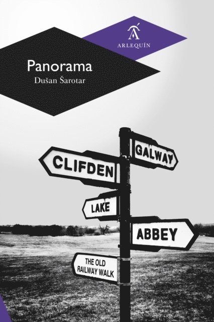 Dusan Sarotar - Panorama, E-bok