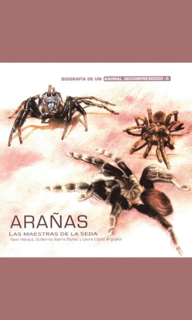 Laura Lopez Argoytia, Guillermo Ibarra Nunez, Yann Henaut - Arañas, E-bok