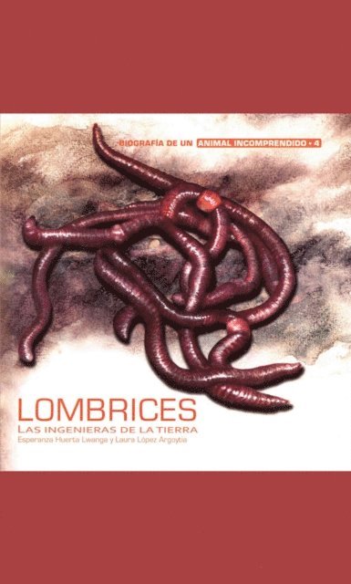 Laura Lopez Argoytia, Esperanza Huerta Lwanga - Lombrices, E-bok